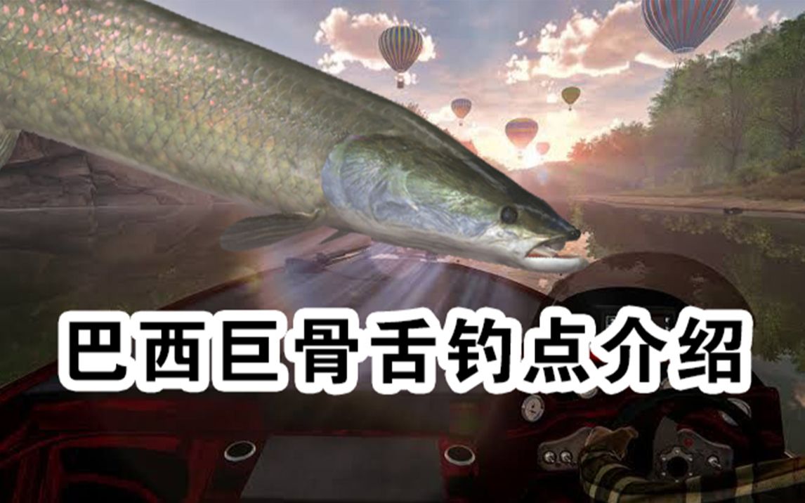 钓鱼星球 巴西巨骨舌钓点介绍