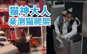 Video herunterladen: 【蒲熠星】原来是猫神大人亲测过的猫爬架啊