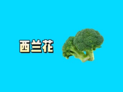 西兰花哔哩哔哩bilibili