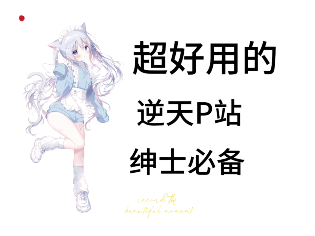 超好用的逆天P站,绅士必备哔哩哔哩bilibili