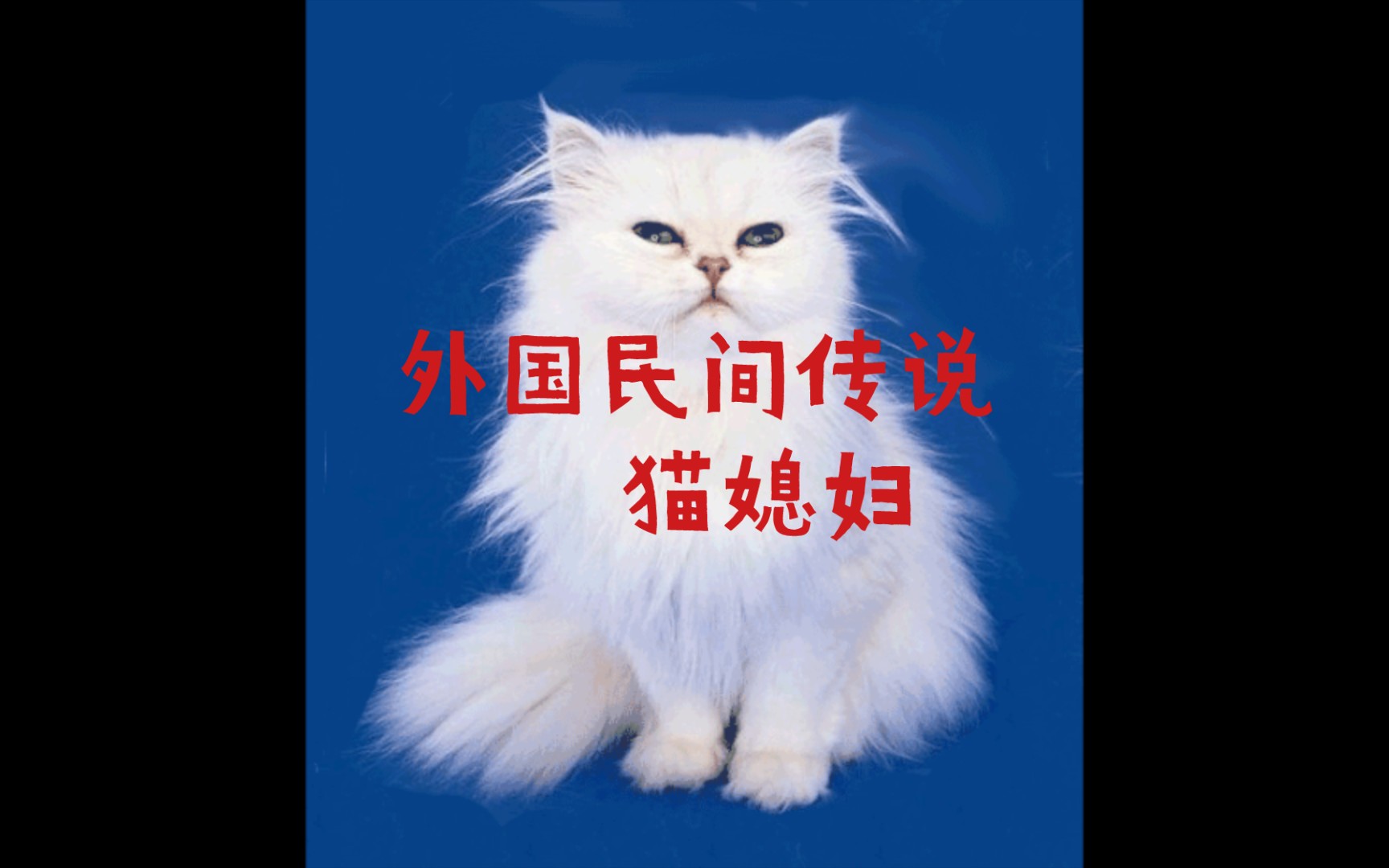 外国民间故事#猫媳妇哔哩哔哩bilibili