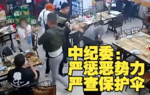 Tải video: 中纪委网站谈“唐山烧烤店打人案”：严惩恶势力 严查保护伞