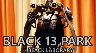 black13park白鹰质感十足的黑暗二战风_哔哩哔哩_bilibili