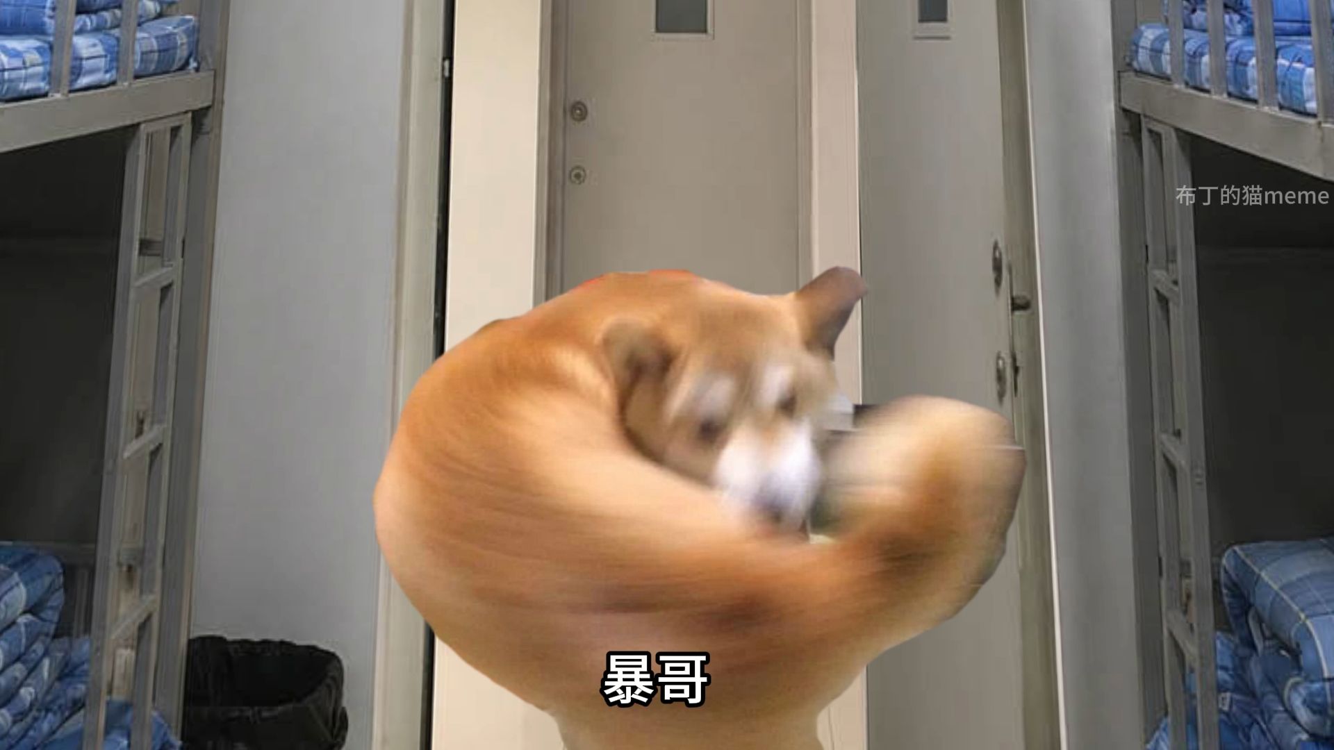 高中时学校有很多混混