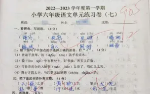 Video herunterladen: 六年级上册语文第八单元学生测验考试试卷