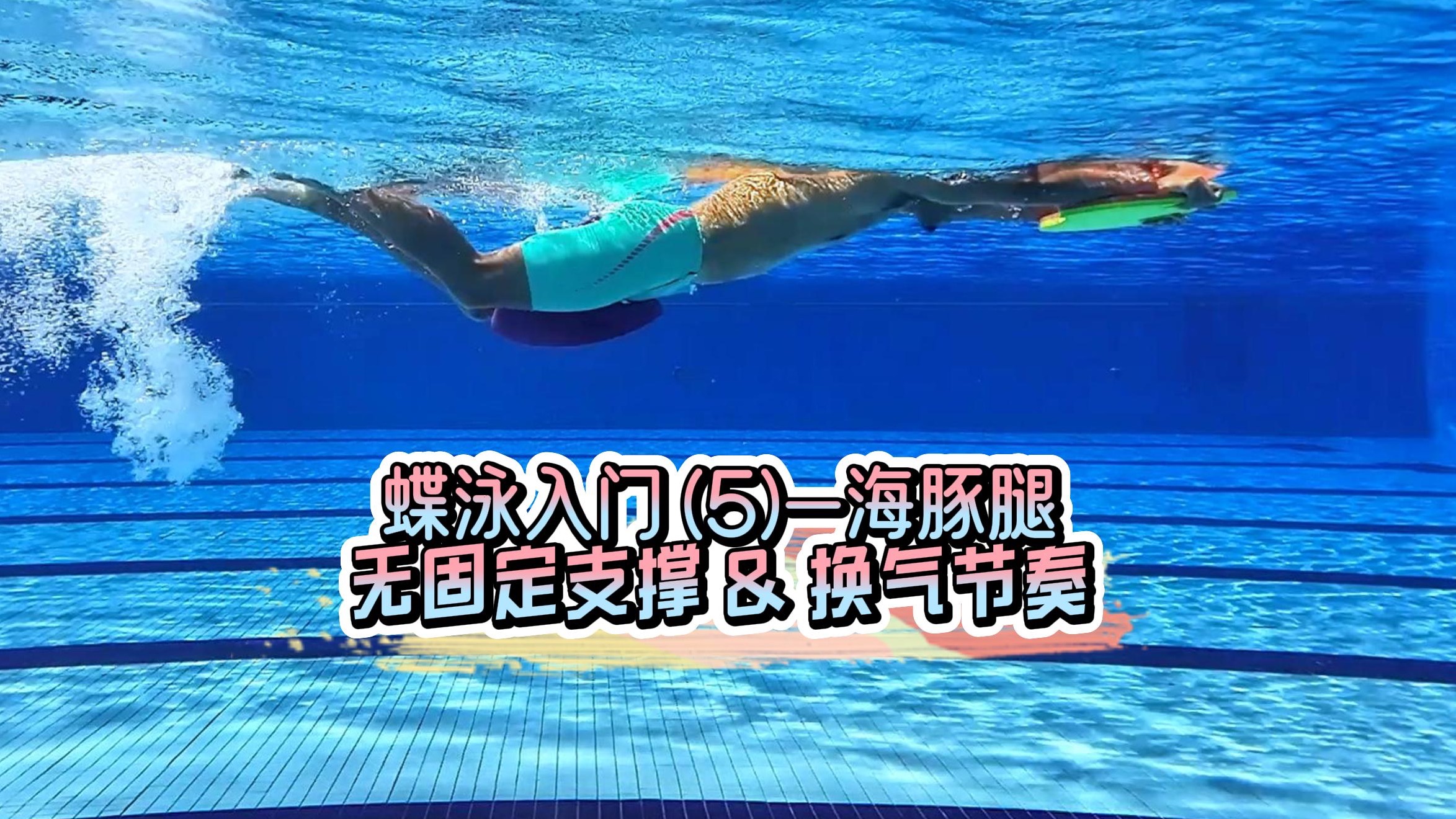 蝶泳入门(5)海豚腿,水中无固定支撑训练(浮板辅助)
