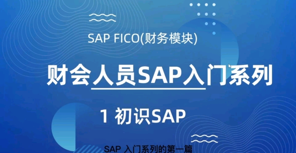 30天学会SAP入门系列1:初识SAP系统 初学者如何学习SAP?转行SAP可行吗?哔哩哔哩bilibili