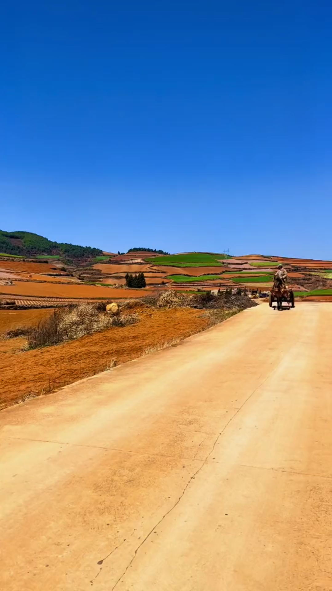 [图]昆明东川红土地