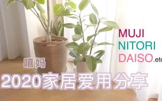 Daiso 搜索结果 哔哩哔哩 Bilibili