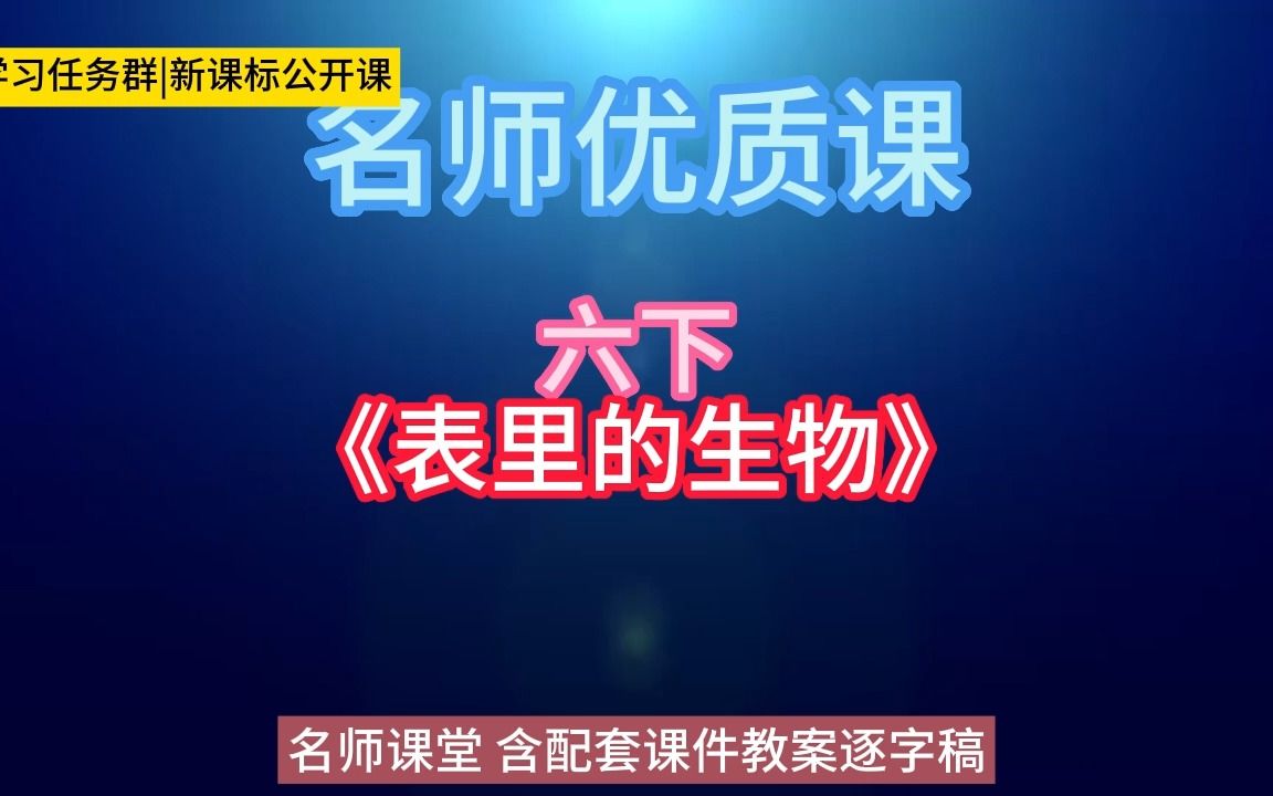 [图]六下《表里的生物》gd小学语文新课标学习任务群|大单元教学设计|名师优质课公开课示范课（含课件教案逐字稿）教学阐述名师课堂MSKT