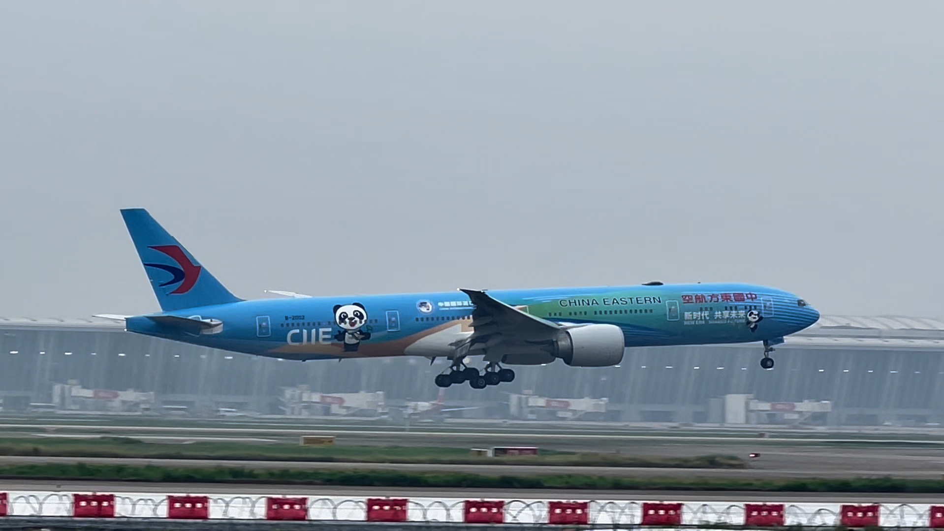 东航b777-300er进博会彩绘降落pvg,东航77w唯一的彩绘机.