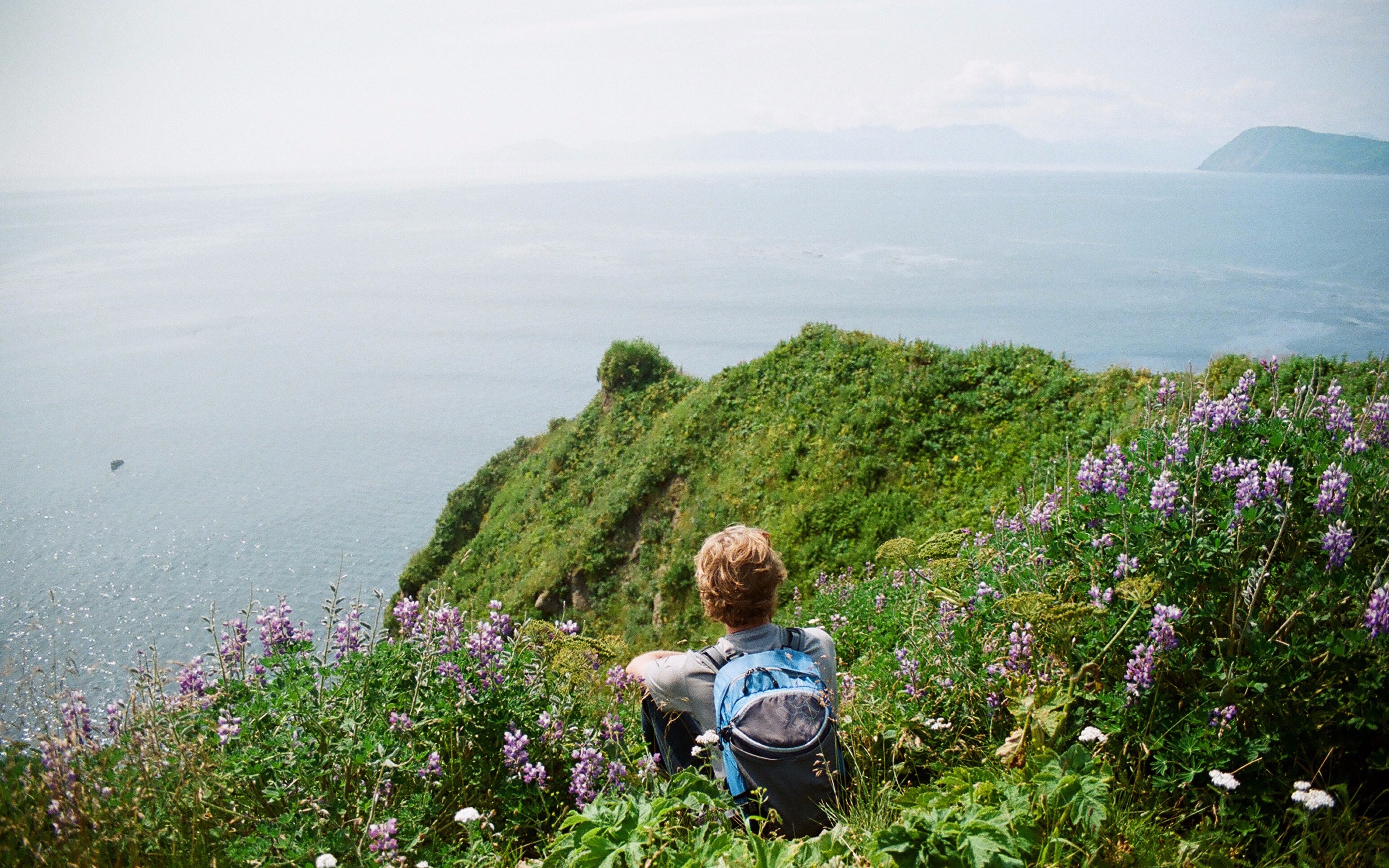 【欧美indie】适用温暖阳光春日野餐远足场景77159492