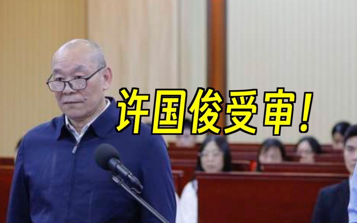 外逃20年后被强制遣返,中国银行开平支行原行长许国俊受审!哔哩哔哩bilibili