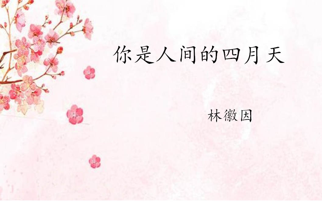 睡前给你读首诗1你是人间的四月天