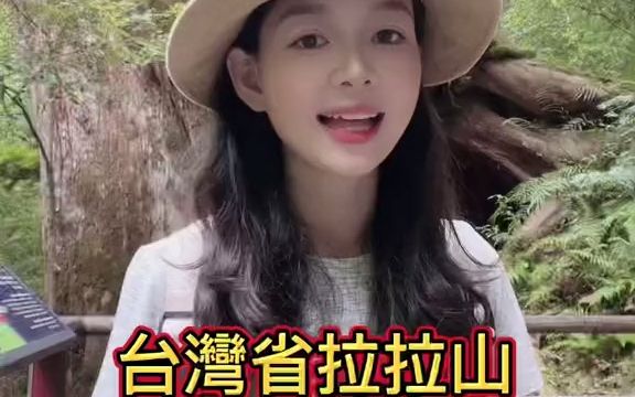 走进大山深处哔哩哔哩bilibili