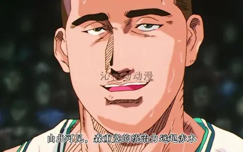 灌篮高手各项数据统计,森重宽一人碾压樱木流川,真天才