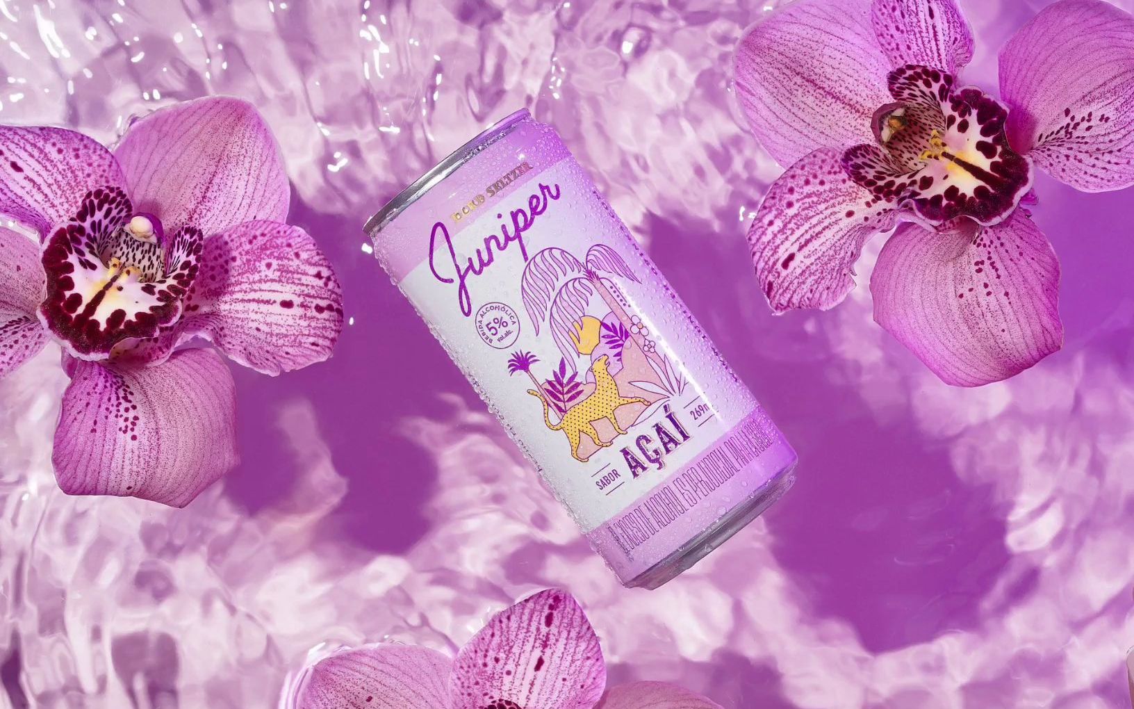 高级包装|紫色热带插画水果苏打水饮料设计