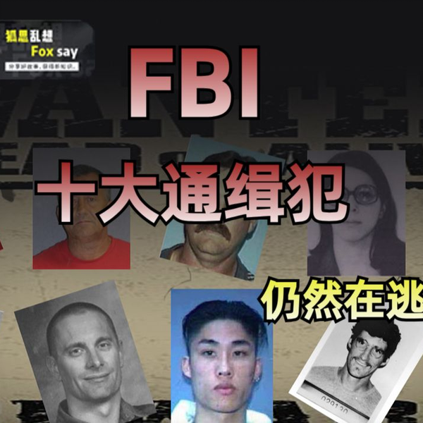 被FBI通缉多年仍旧逍遥法外，十个十恶不赦的国际通缉犯_哔哩哔哩_bilibili