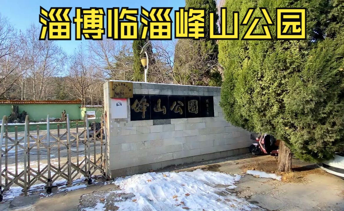 临淄蜂山公园图片