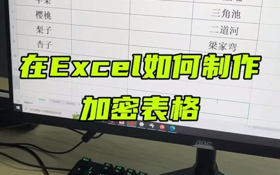 【excel速成】在excel中如何制作加密的表格?哔哩哔哩bilibili