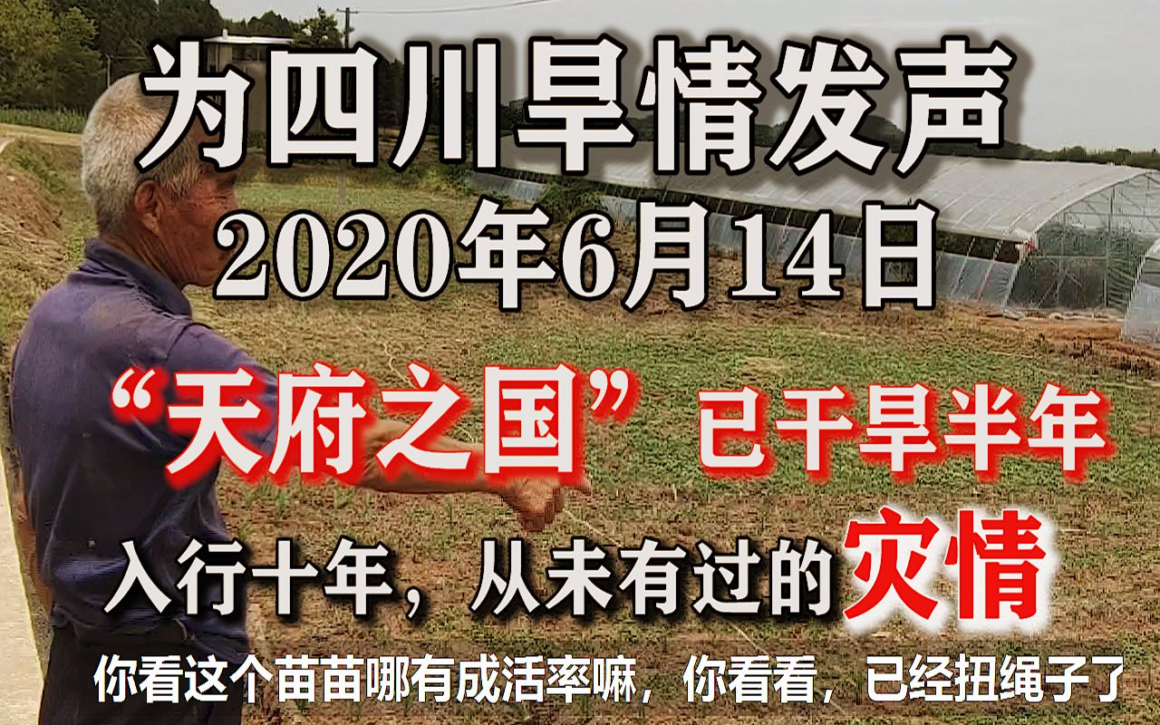 为四川旱情发声,2020天府之国大旱,入行十年不遇的旱灾哔哩哔哩bilibili