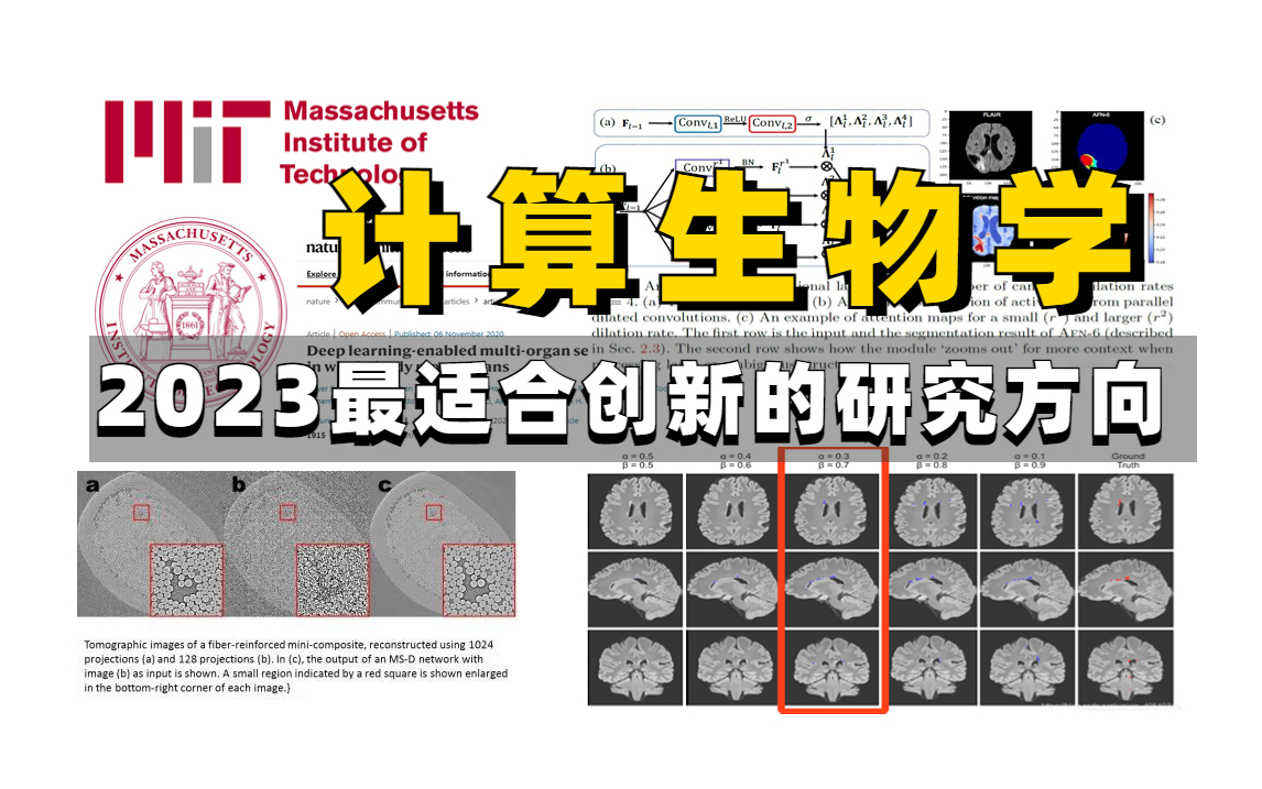 【MIT麻省理工公开课】2023年最适合创新的研究方向——计算生物学,顶级名校大佬带你深入人工智能与生命科学的交叉学科!简直不要太爽!!!哔哩...