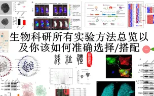 生命科学实验总览与搭配（1）