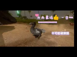 Download Video: 方舟手游