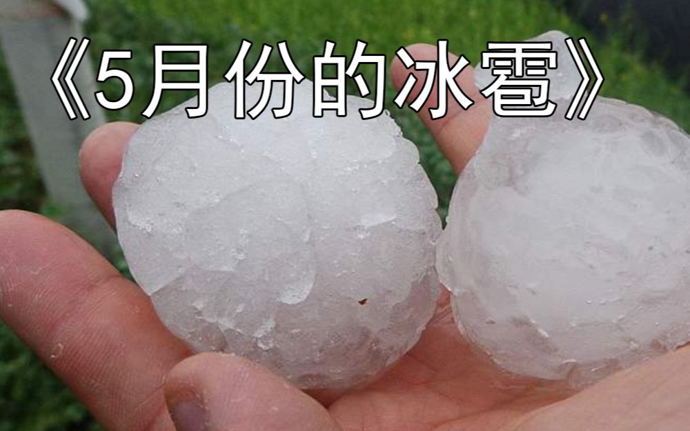 [图]《寒潮日常》5月份下冰雹击穿了我的屋顶