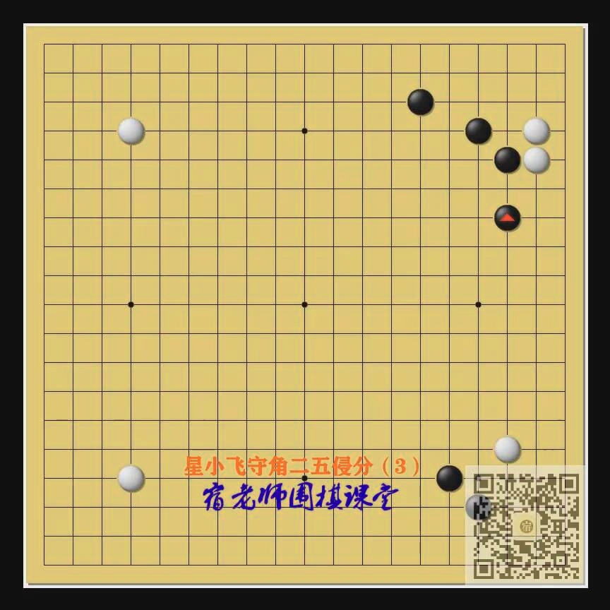 【宿老师讲常型】星小飞守角二五侵分(3)