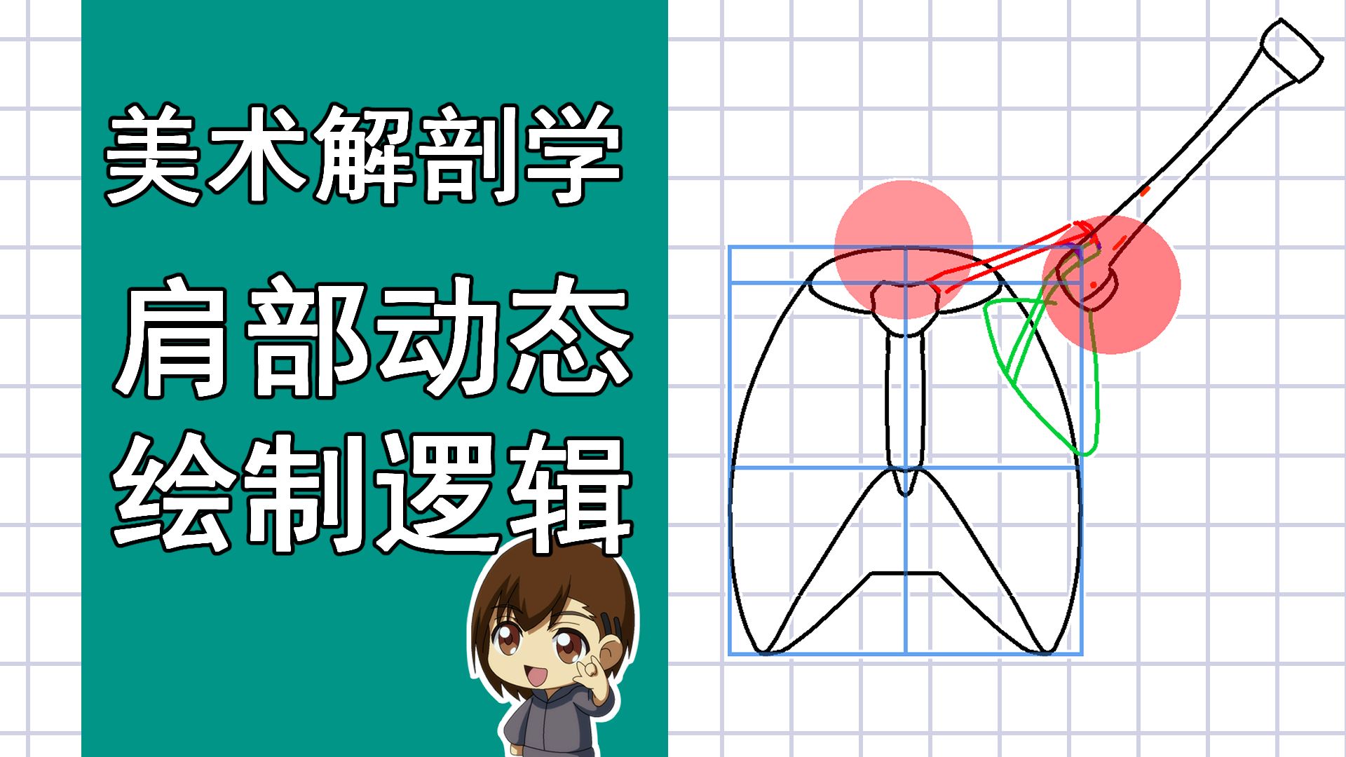 美术解剖学-41-肩部动态模型绘制
