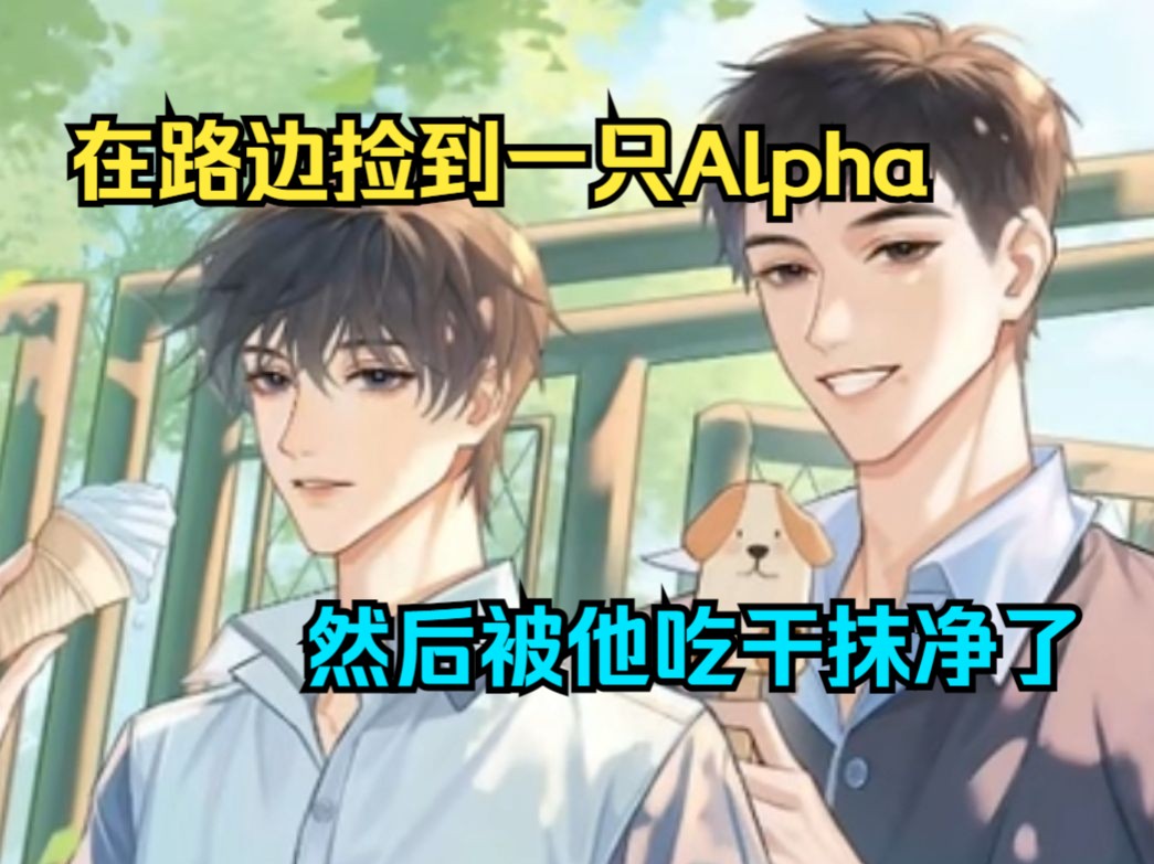 在路边捡到一只Alpha,然后被他吃干抹净了!忠犬Alpha来势汹汹地挤进漂亮Omega哥哥的生活里,把明恋的单箭头放大加粗再加下划线~哔哩哔哩bilibili