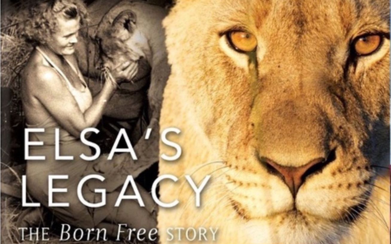 [图]【PBS】自然系列 艾尔莎的遗产：生而自由的故事 双语字幕 Elsa's Legacy The Born Free Story (2011)