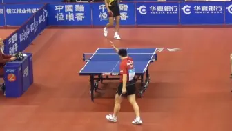 樊振东VS张继科 小胖唯二输给藏獒的