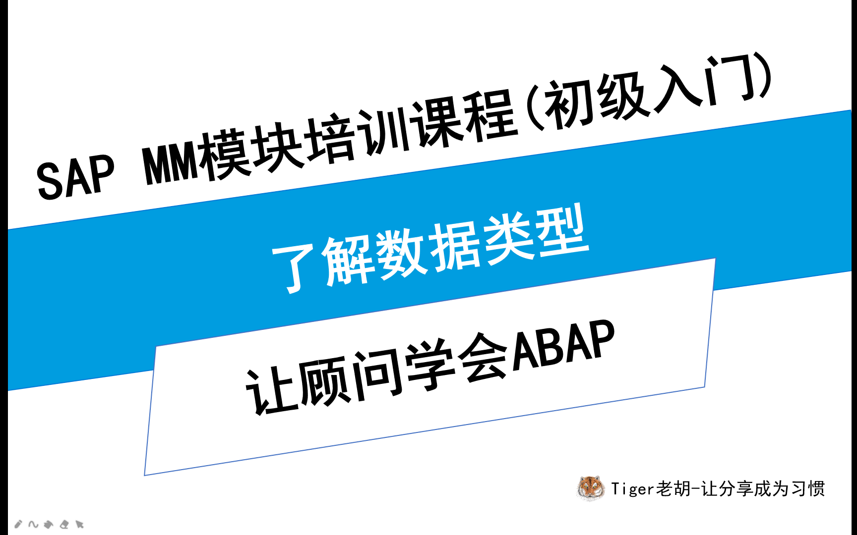 让顾问学会ABAP了解数据类型哔哩哔哩bilibili