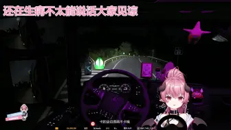 尼奥录播-2022-12-25 欧洲卡车模拟