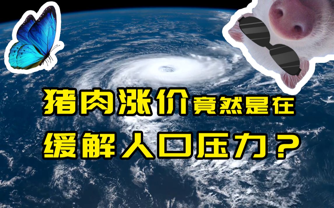 [图]猪肉涨价竟然是在缓解人口压力？2019最被低估的事件点评！