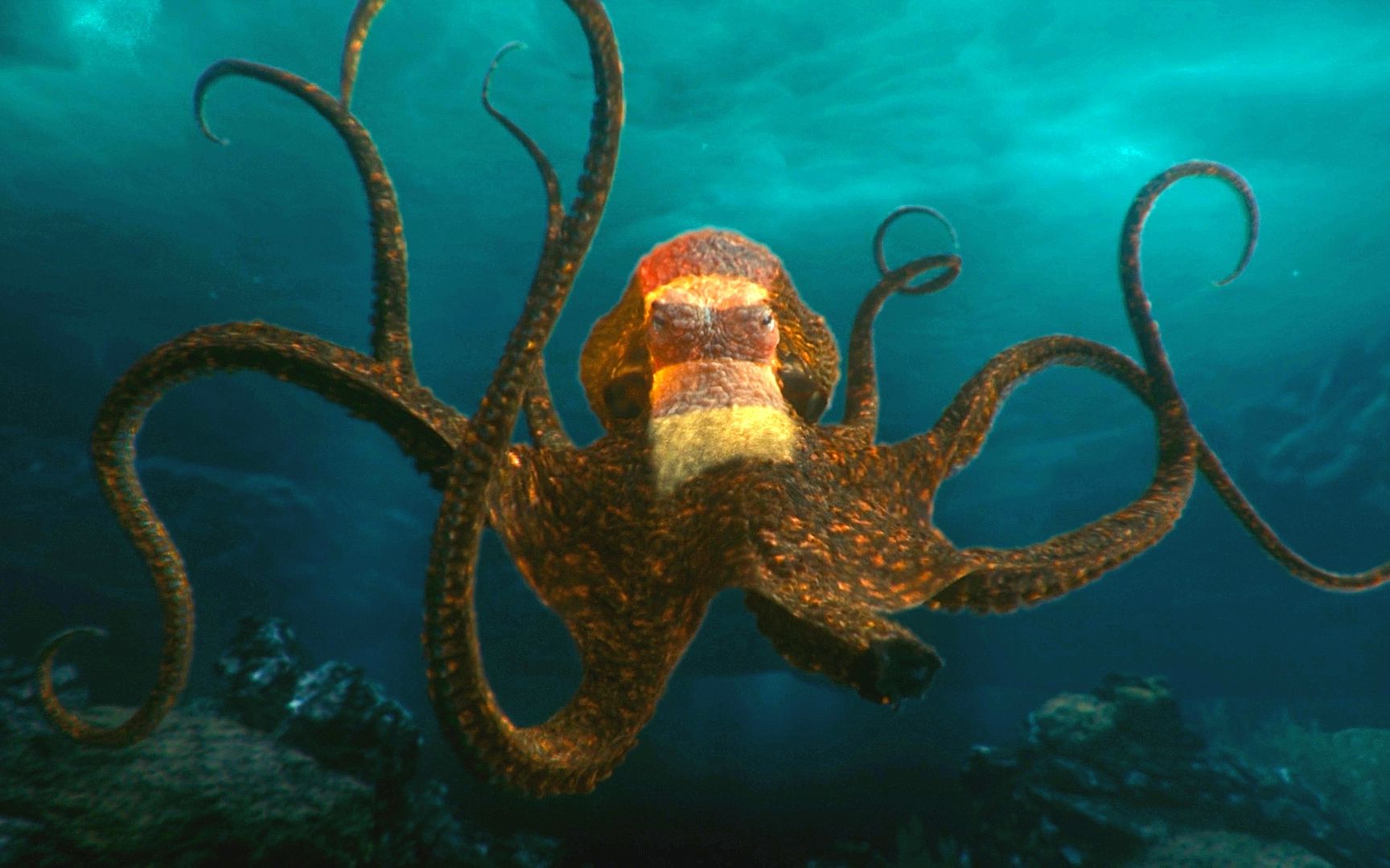 一只高智商章鱼,3个小时学会上网,窃取人类基因图谱