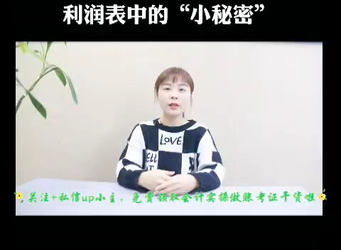 利润表中的“小秘密”哔哩哔哩bilibili