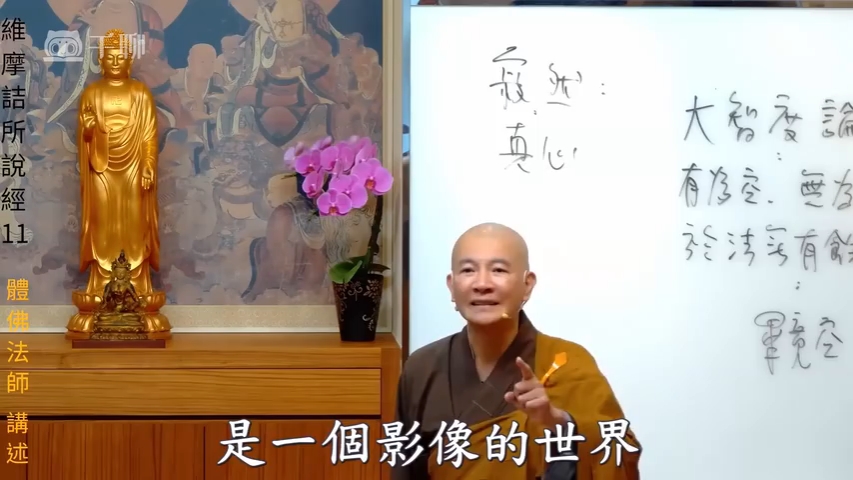 体佛法师 《维摩诘所说经》完整版11