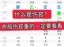 Download Video: 八字伤官过重的人一定要进来看看？伤官是把双刃剑！成功与失败大多都看伤官！