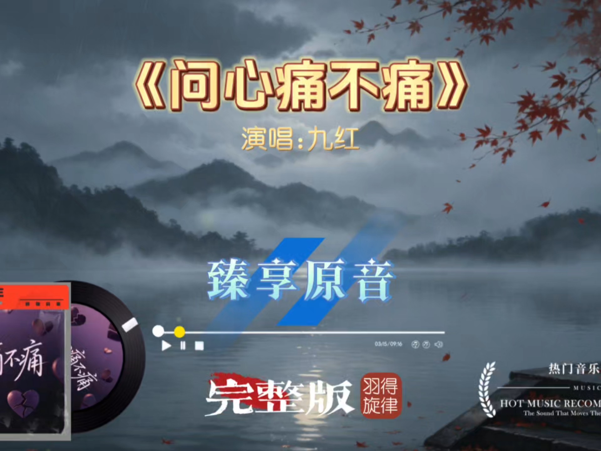 九红《问心痛不痛》臻享原音完整版，一曲问遍风月星辰，道尽感情里万般心酸