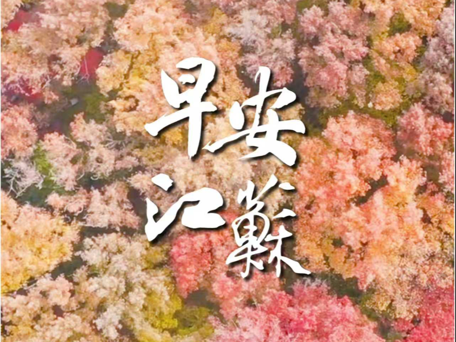 今天是11月15日,星期六,早安江苏!