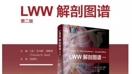 [图]【PDF】LWW解剖图谱（第2版）