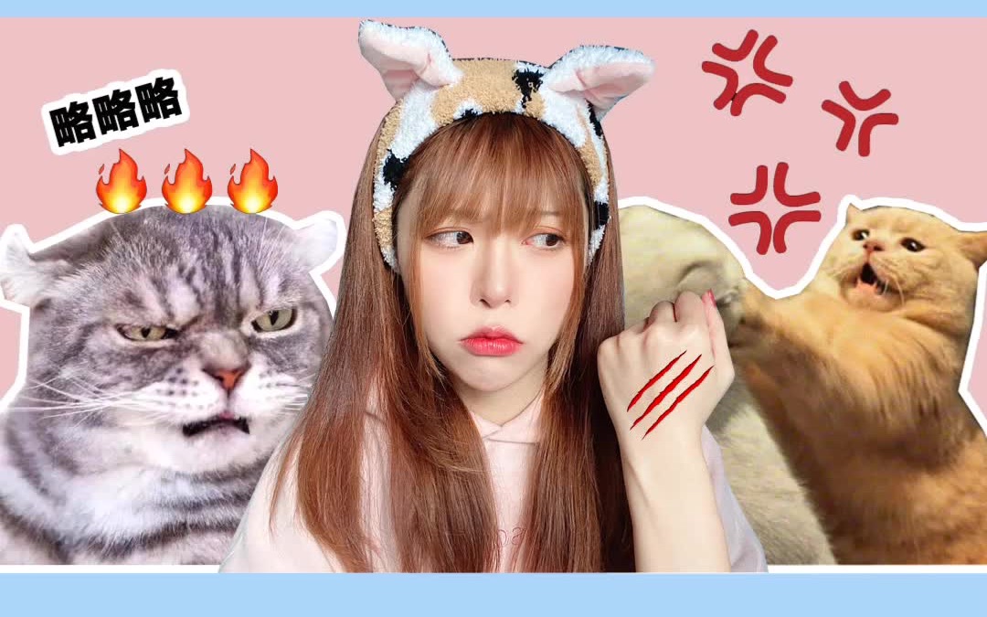 被小猫抓伤了怎么办?哔哩哔哩bilibili