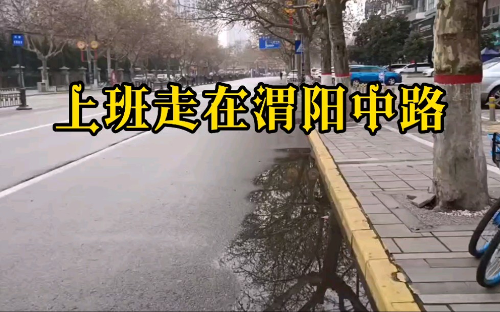 [图]看着此刻的渭阳中路，心里有种莫名的惶恐