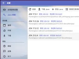 Descargar video: HMCL 新功能：使用 Java 管理器轻松下载、安装、管理 Java