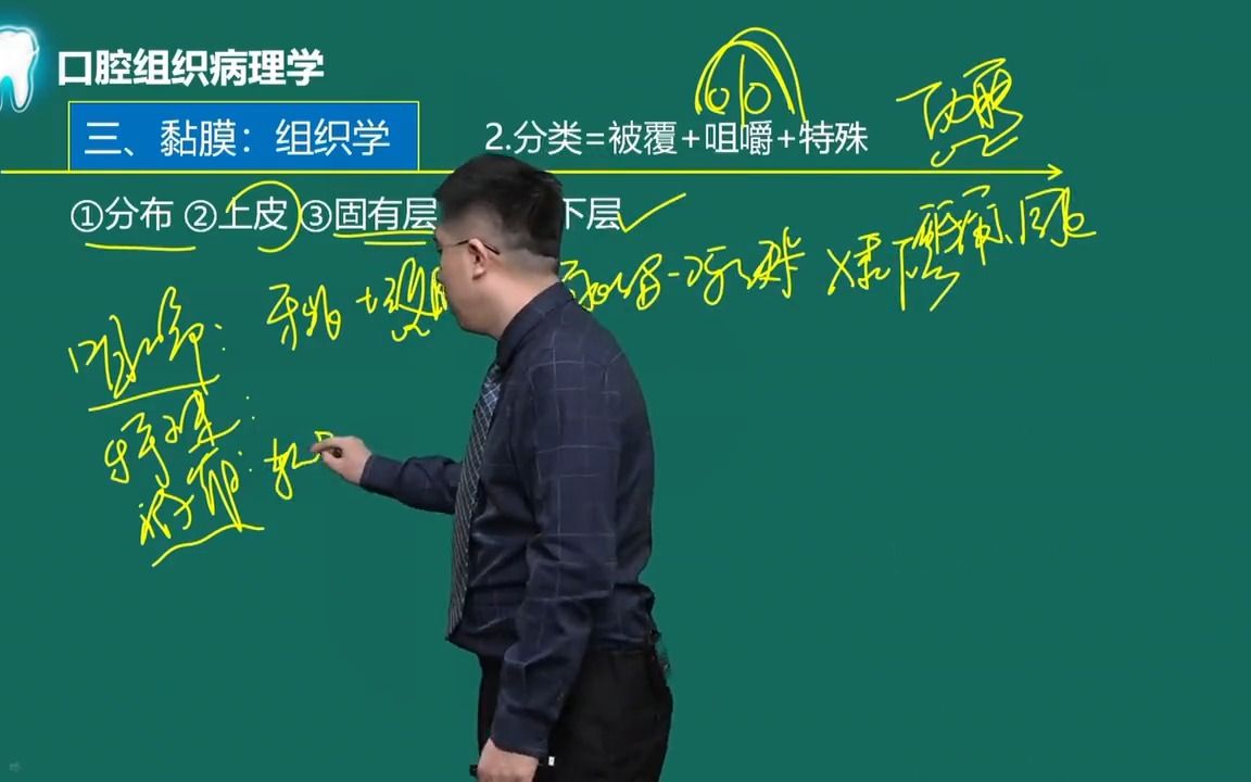 [图]2022口腔执业医师、执业助理医师 口腔组织病理学 口腔黏膜基本结构及组织结构03考试视频课程教程教学课件讲课辅导资料培训讲解