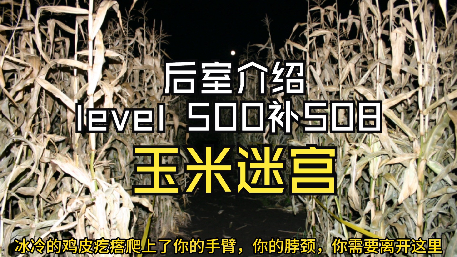 【Backrooms 后室】level 500补508 玉米迷宫【介绍】哔哩哔哩bilibili