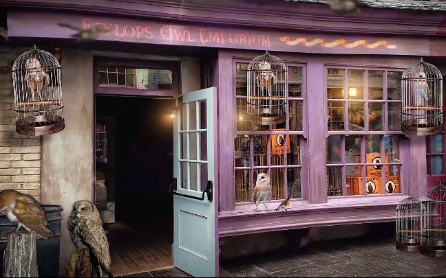 白噪音哈利波特氛围音对角巷咿啦猫头鹰商店投递中心书写声包装声